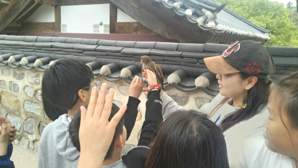 88e71e0a3cbf46adcbad52596cf9152c_1592204