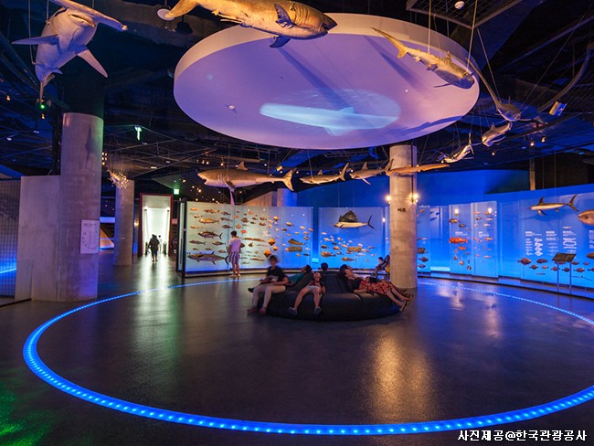 자연을 살리는 환경 - 충청 논산 서천 장항일대