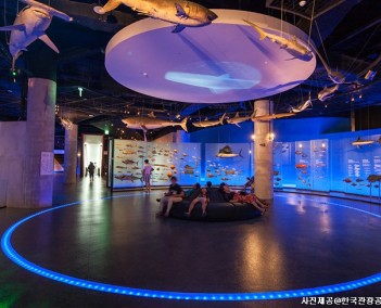 자연을 살리는 환경 - 충청 논산 서천 장항일대