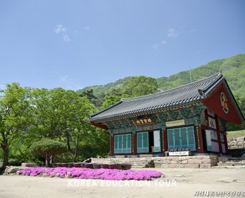 변화의 모습, 대전 근대화 문화거리 - 대전시, 영동시 일대