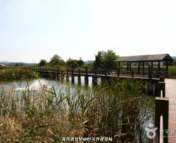 당일 9 (환경살리기)