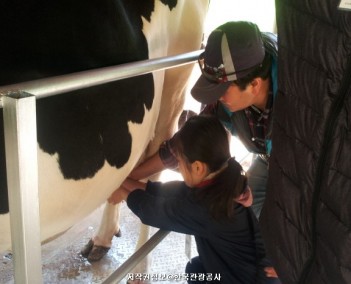 당일 10 (교통과 체험)