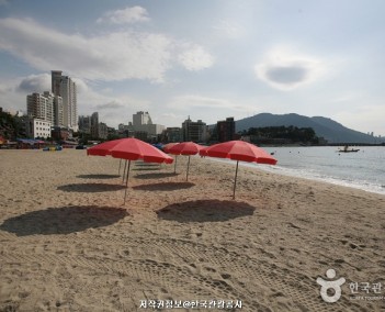 경상 9 (도시와 섬)