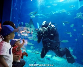 제주 1 (제주 자연과 인물)