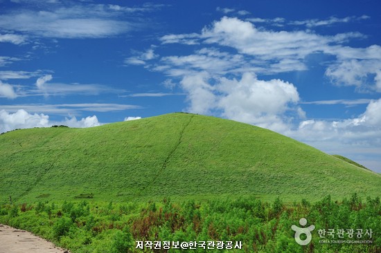 제주 2 (제주찾기 여행)