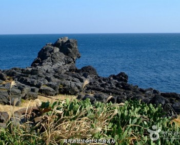 제주 4 (탐방 이야기)